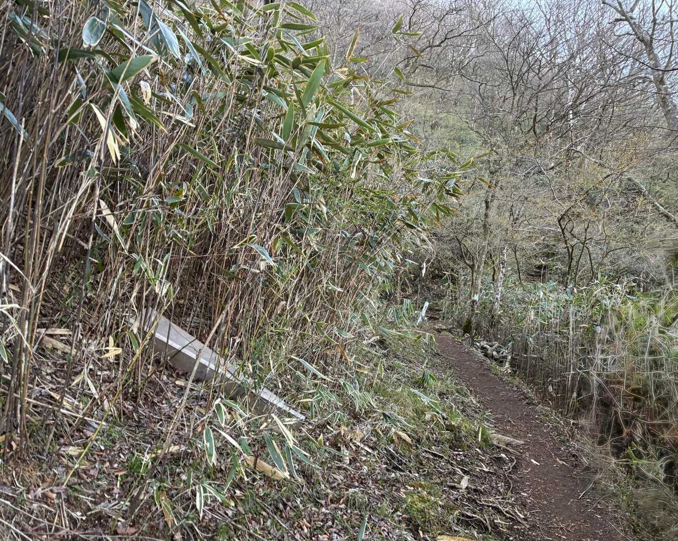 笹道ーー