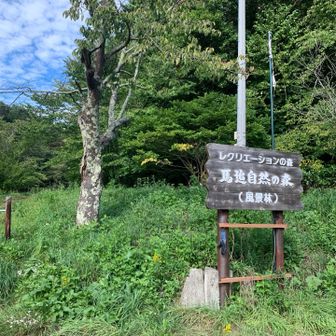 今日は歩道に出て戻ります。