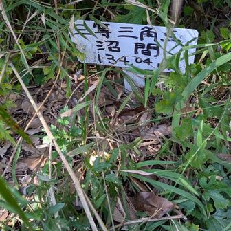 途中のピーク、沼間（神武寺山）134m