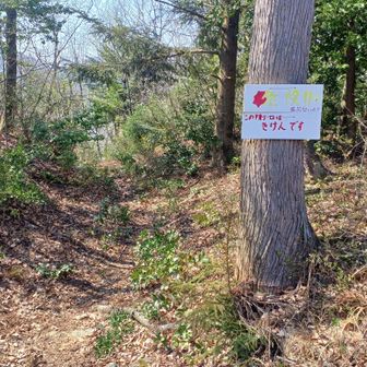 岡本山に行くには、この「きけんです」と看板に書かれた道を下山する。

登山装備なしで歩くと確かに危険かもしれないけれど、今立の権現山の表参道の急登くらいの危険度。踏み跡はちゃんとしてる。