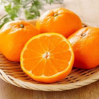 みかん🍊