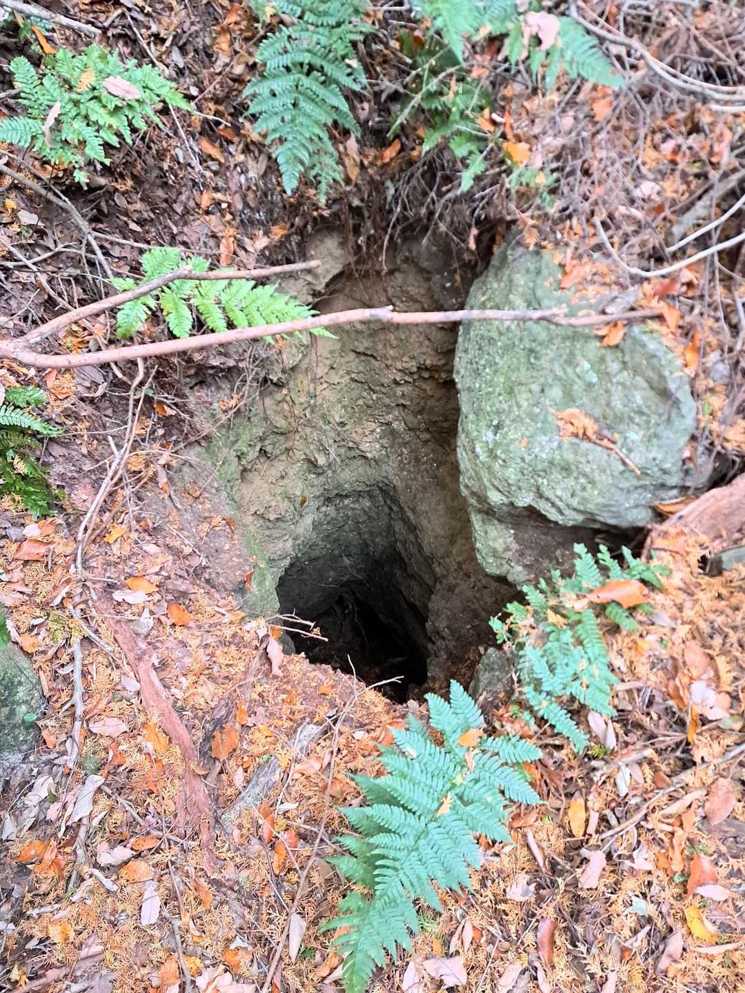 雲母採掘穴の跡ですね。
西尾の八ツ面山もありますが、間近でこの深さを見たのは初めて。