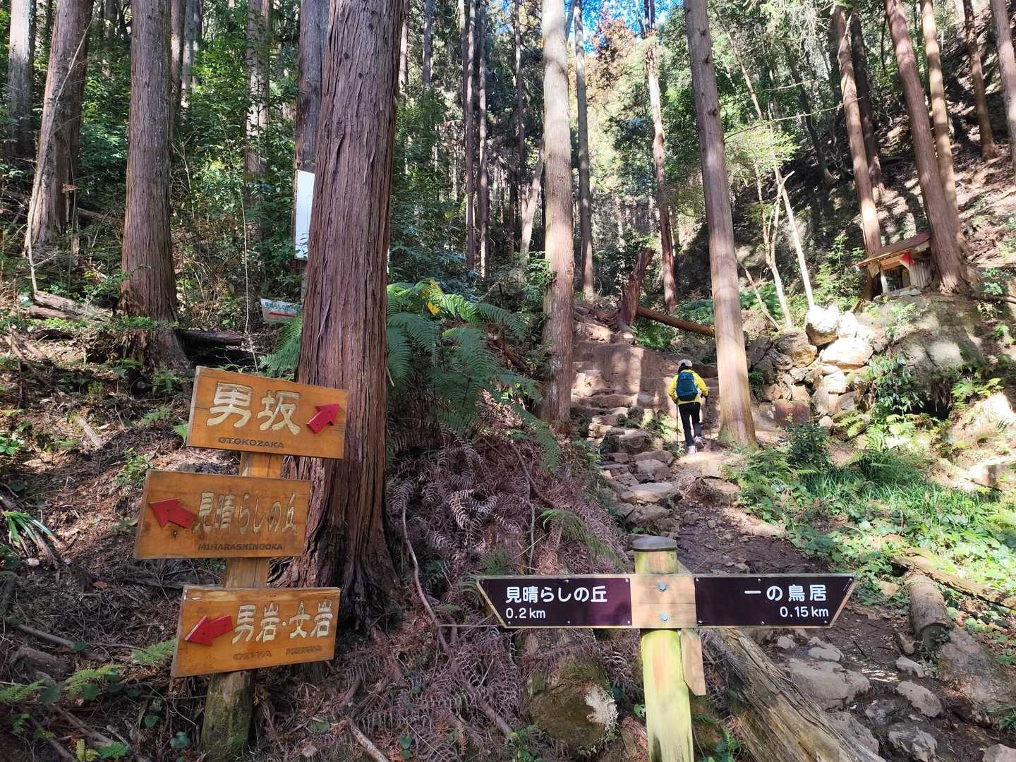 日和田山登山口-金刀比羅神社-日和田山-高指山 往復コースの写真