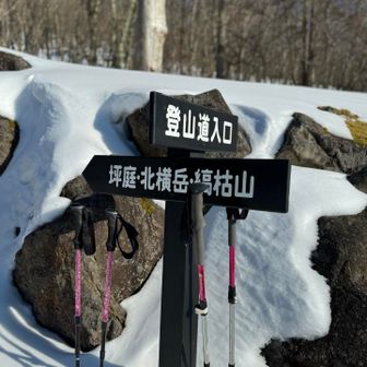 戻ってきました🙌🏻