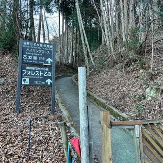 ここからハイキングコース🥾
