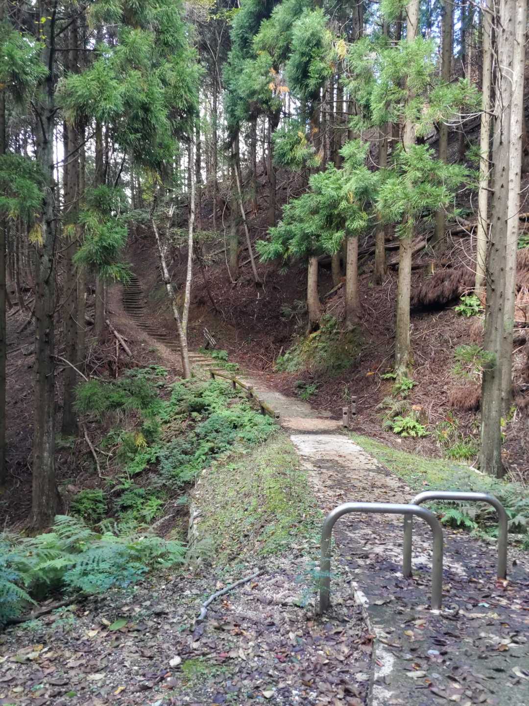 磯砂山 往復コースの写真
