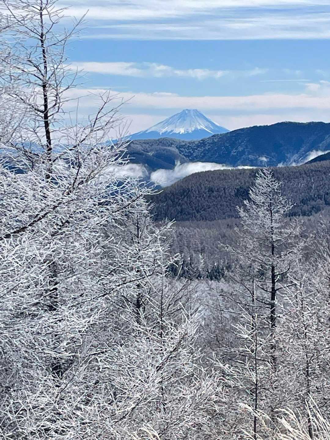 入笠山 周回コースの写真
