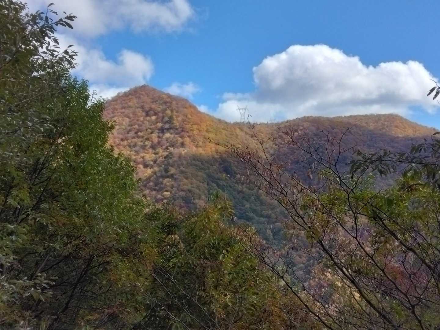 登山道脇からの遠望2