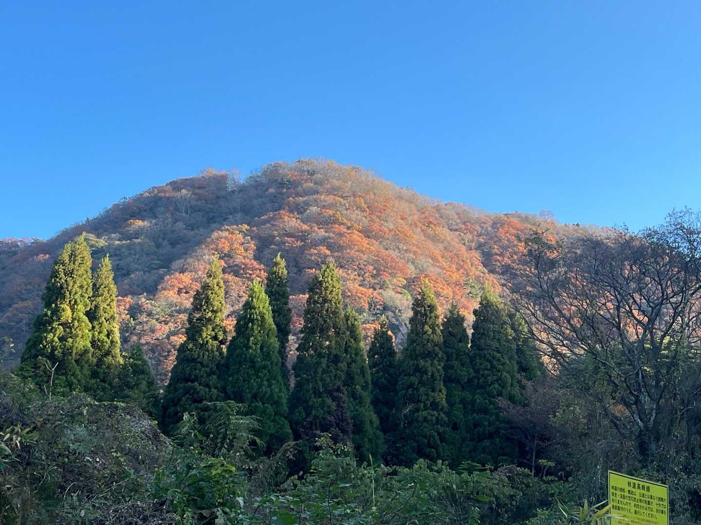 行って参ります🫡