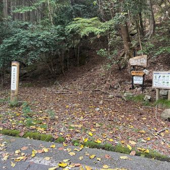 ここを真っ直ぐ行く。