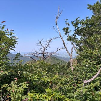 尾根からの眺め✨