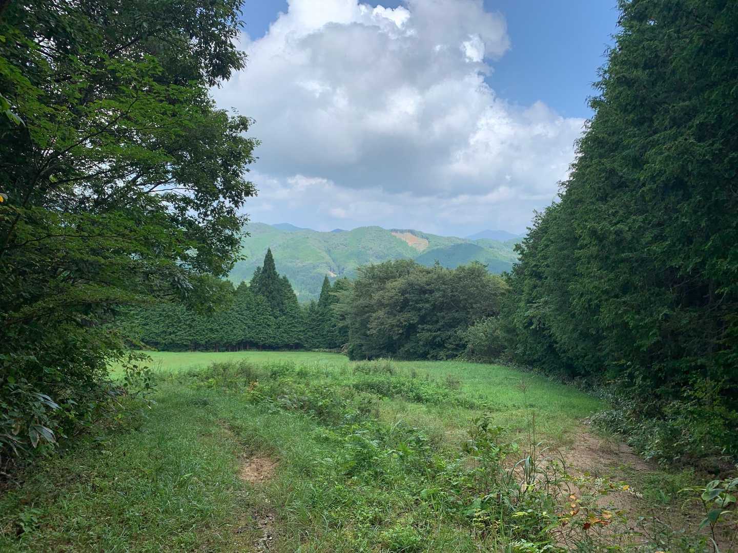 綺麗な景色^ ^