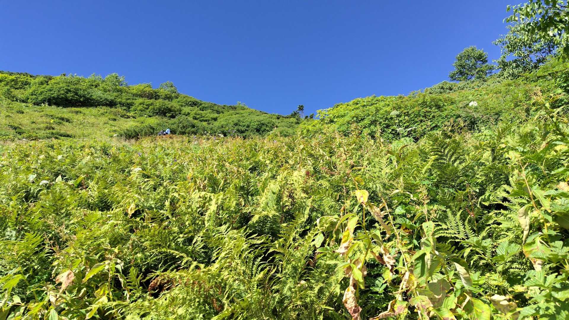 もう少し👣
ここを登れば蝶ヶ岳ヒュッテ🦋

こちらまでの道中…
山泊し下山してきた方々より「絶景ﾃﾞｽﾖ」「最高ﾃﾞｽョ」「ゆっくり気をつけて」ﾅﾄﾞﾅﾄﾞ🎶
励ましのお言葉頂きゆっくりまったり頑張りﾏｼﾀ~💪ｱﾘｶﾞﾄｳ