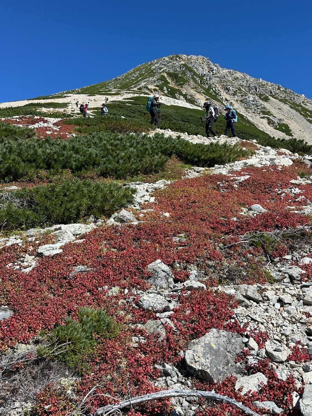 双六岳-丸山-三俣蓮華岳-鷲羽岳 周回コースの写真