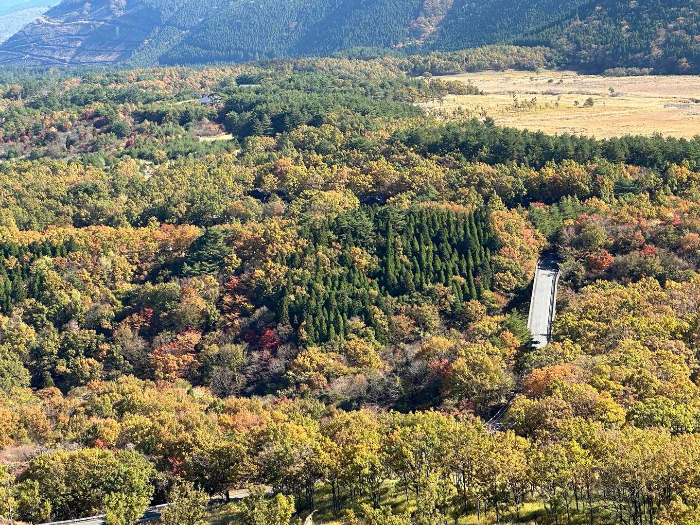 この景色は予想外、歩いて良かったぁ〜🙌