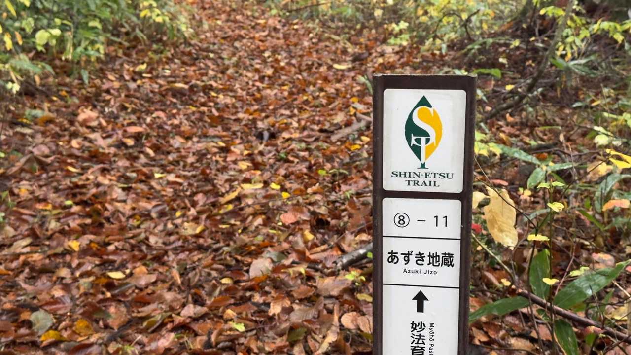 信越トレイル#5（sec.10-9-8／苗場山〜小赤沢〜結東〜森宮之原駅）、完走！ の写真 65
