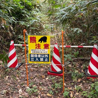 その先は、🐻注意で通行禁止でした〜。さあ下山します。