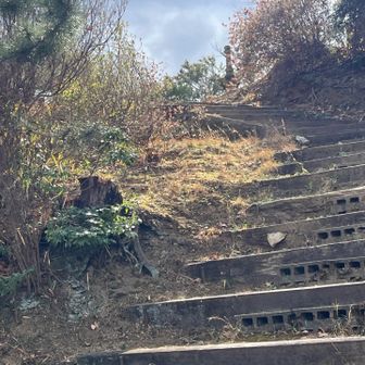 　「東入口」から供養塔が見えます。