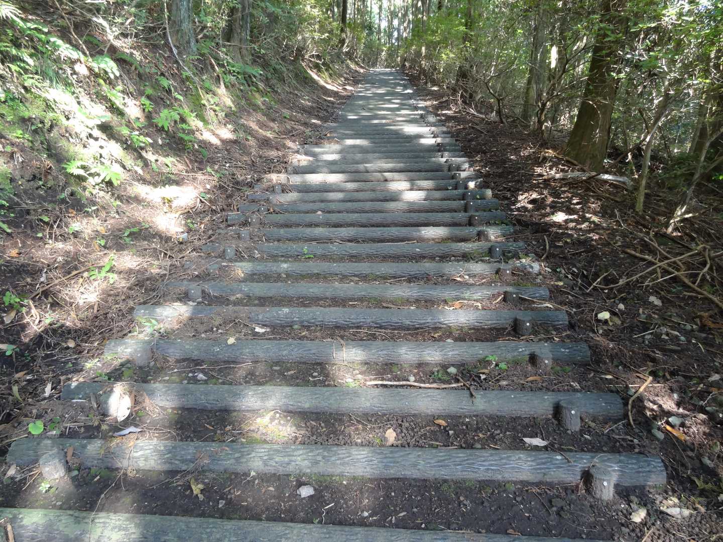 この辺りからお宮の足は痛み始めます😓
