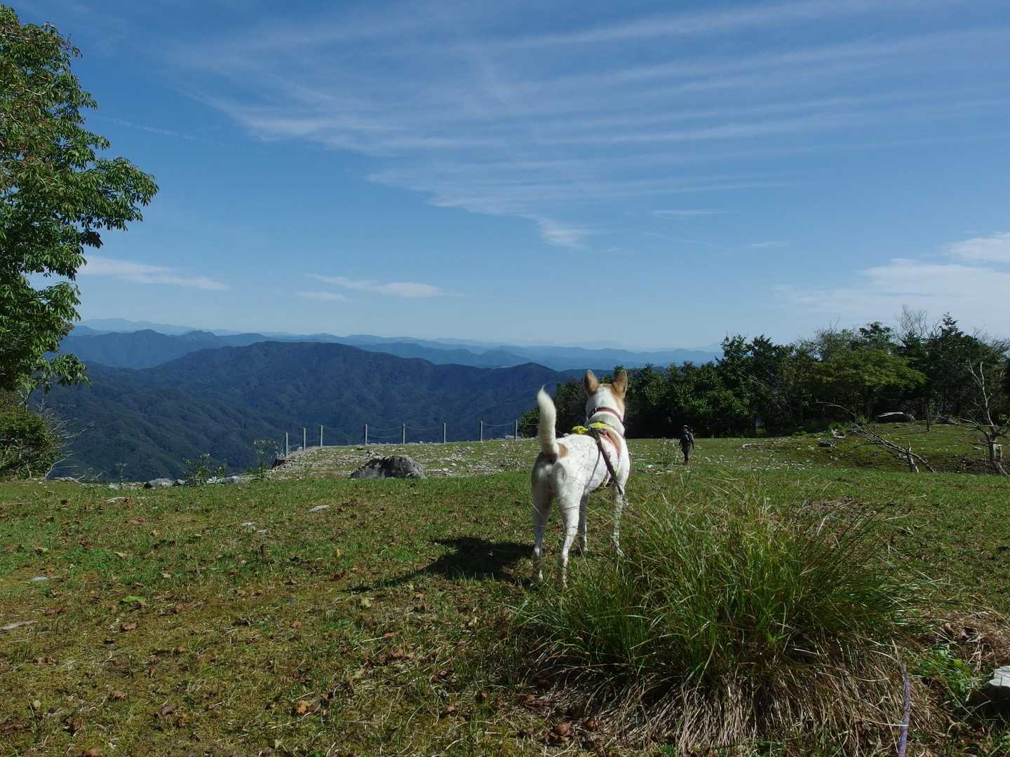 広い山頂だと思ったら…偽ピークだった