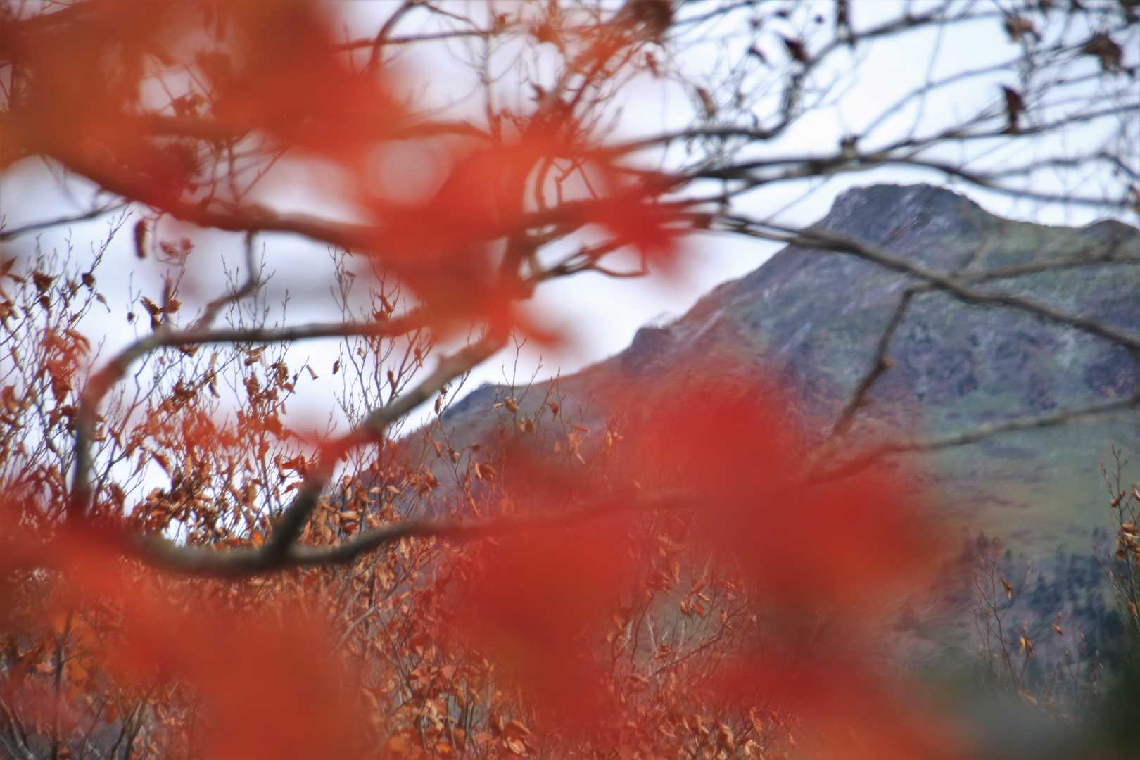 奥に見えるのは
武尊山の剣ケ峰♪

今季は雪山シーズン中に
行けるタイミングあるかな🏔️✨😁
