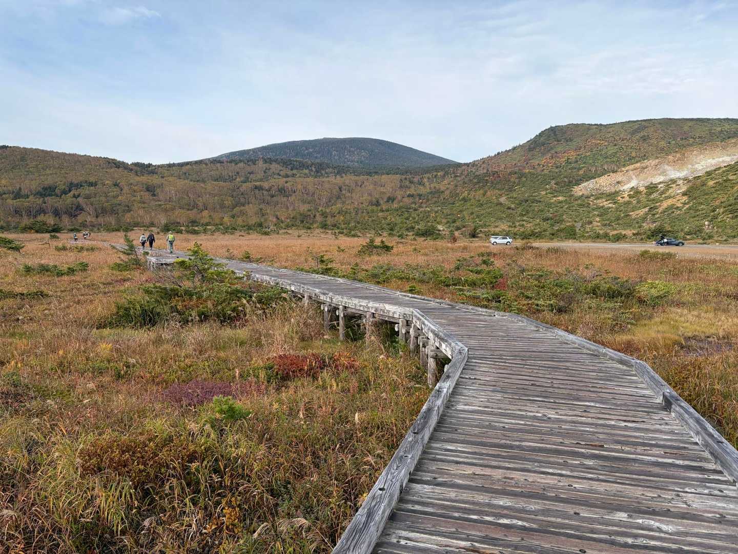登山口から素敵な木道✨