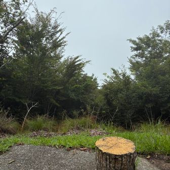 はい、ガスガスです。こんな感じのスツールが4つほどあります