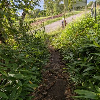 無事登山口に到着。