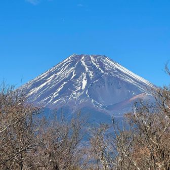山頂からの富士山🗻