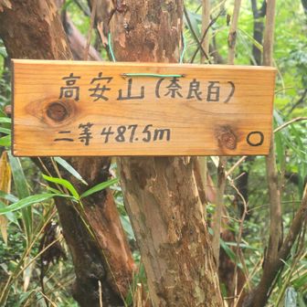高安山は　奈良百でもある