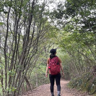 気温もちょうど良い🚶‍♀️