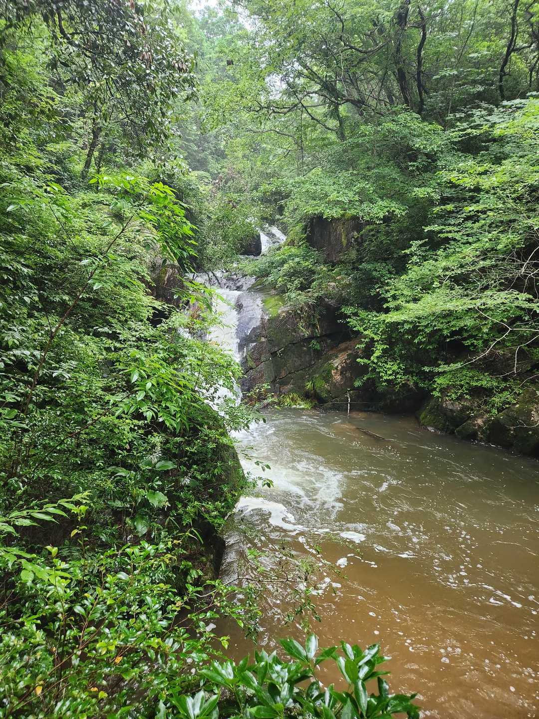 竜吟峡-水晶山 周回コースの写真
