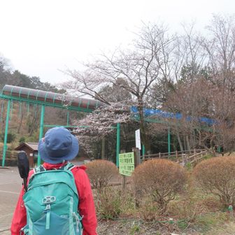 おねえちゃんの見晴らし公園デビュー🔰で、ございます🎵人気のローラー滑り台は月曜お休みです、乗らないけど…😅