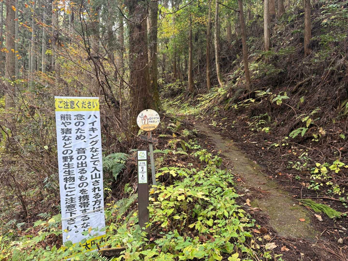 鍋足山 往復コースの写真
