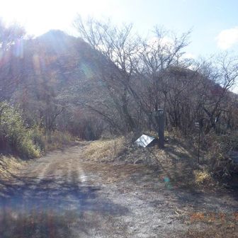 丸鉢山(962m)山頂だが、山頂感はない。正面は金時山。
ベンチが有り、富士山側が絶景