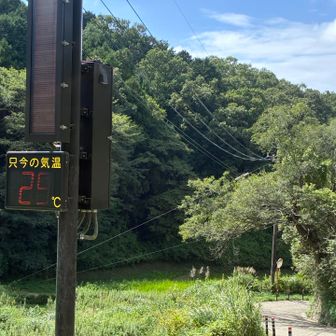 25℃、良い気候ですが、足が攣って辛い。