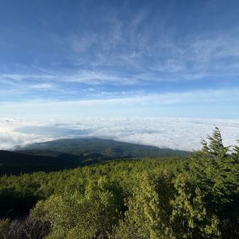 雲海が素敵でした