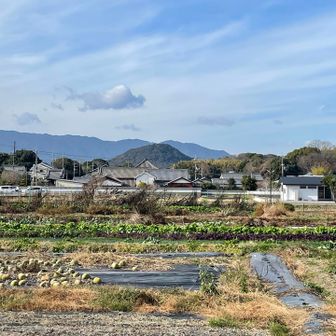 振り返って、畝傍山
