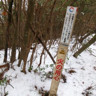 点検道からすぐ奥に山頂