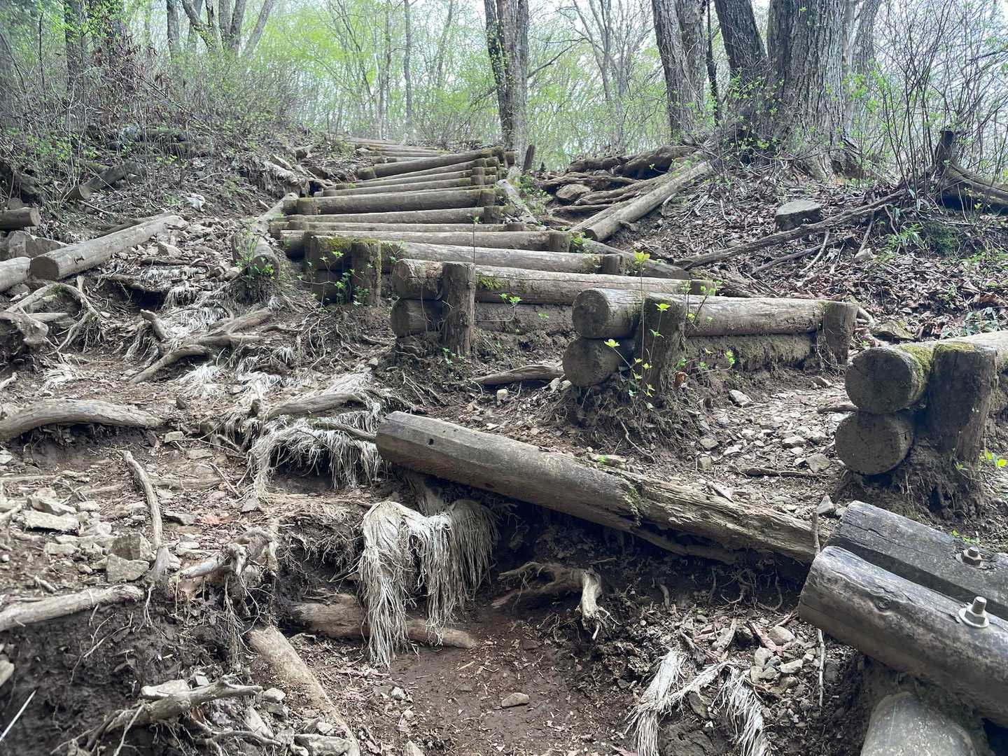 階段の土が無くなって使えない状態。高尾山みたいにはなかなかできない埼玉県💦