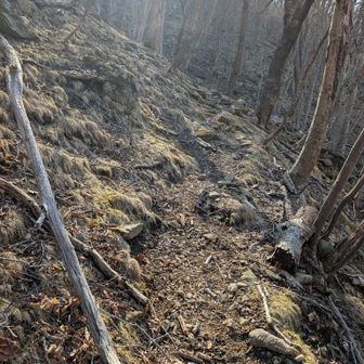 つづら折りをゆっくり登ります