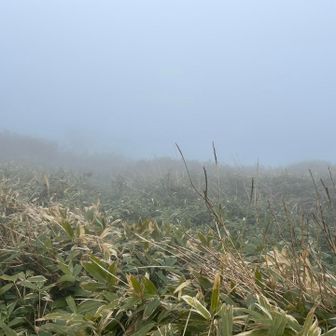 経ヶ岳・法恩寺山 ガスガスでつらい。