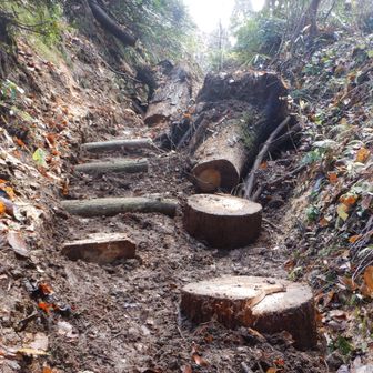 歩き易くなりました👍