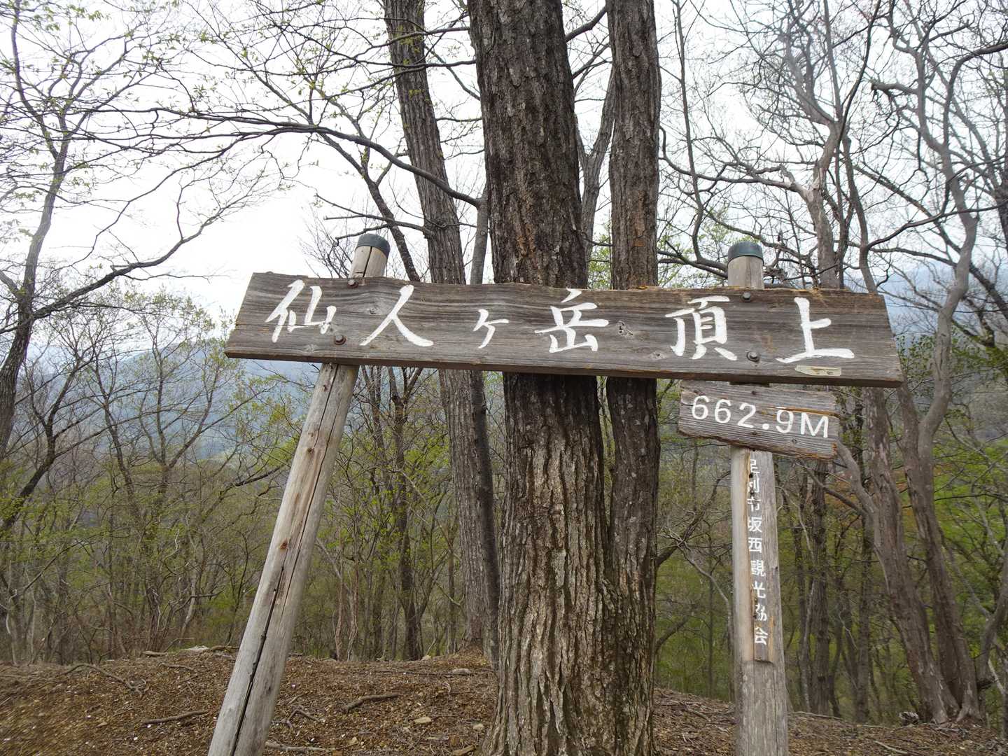 足利市の最高峰：仙人ケ岳に到着👍
栃木百名山でもあり足利百名山でもあります😁