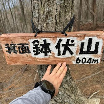 とったど！　次回はこの奥の明ヶ田尾へ行きましょう