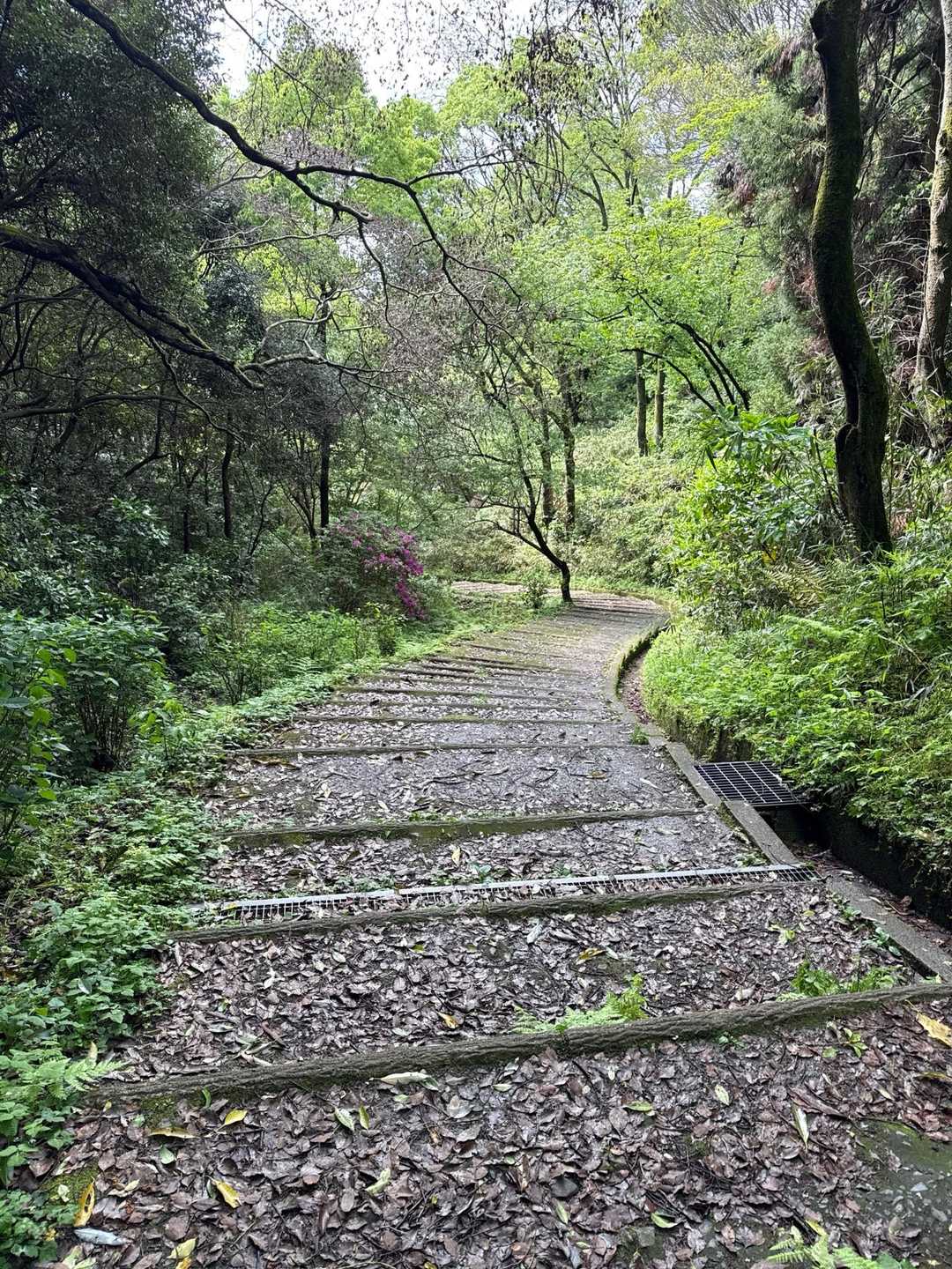 長い階段
歩幅合わせにタンタンピョーンにしたよ👍