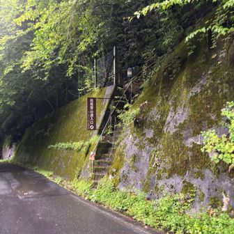 こちらからー