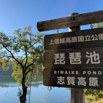 琵琶池を見に