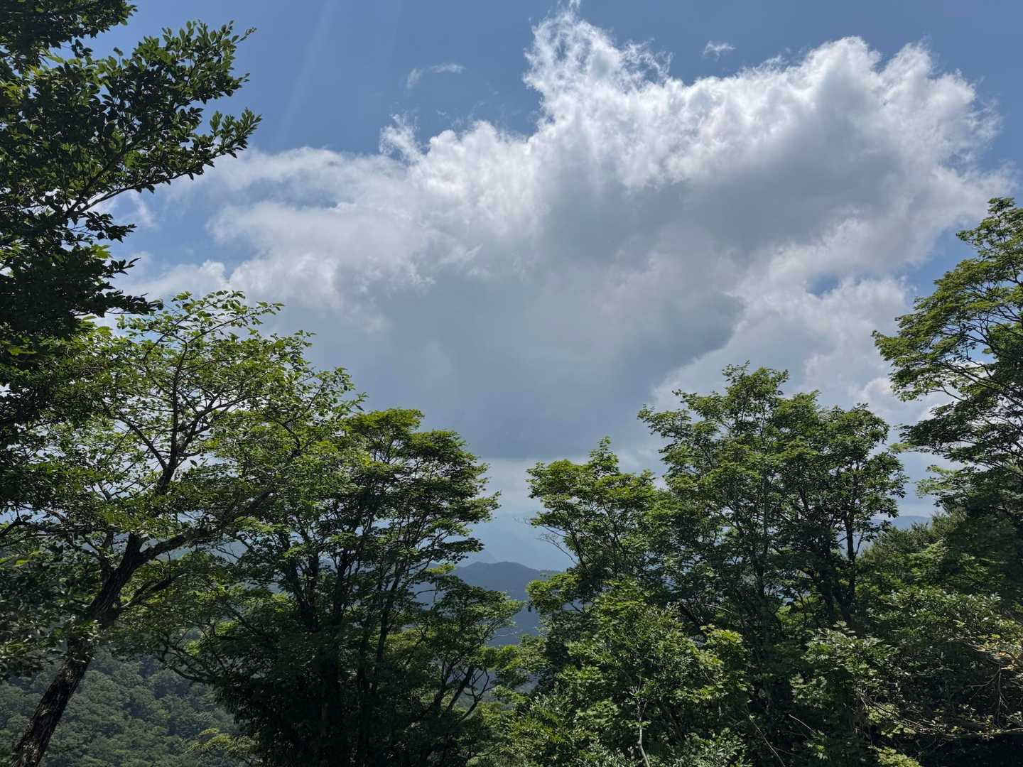 夏の雲☁️