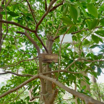 山頂に着きました。